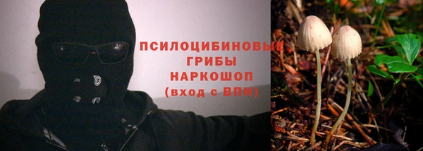 гидропоника Горняк