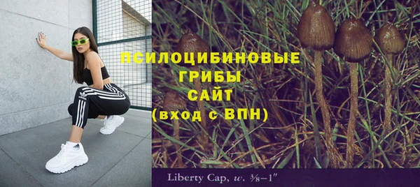 mix Горно-Алтайск