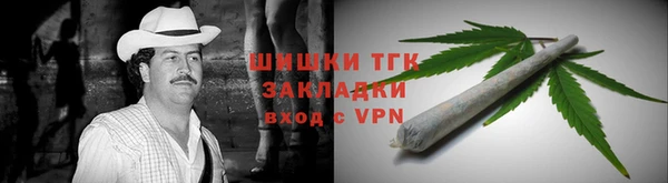 гидропоника Горняк