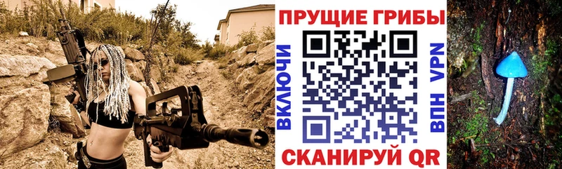 сколько стоит  Пучеж  Псилоцибиновые грибы Cubensis 